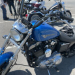 もう、どうしようもない猛暑